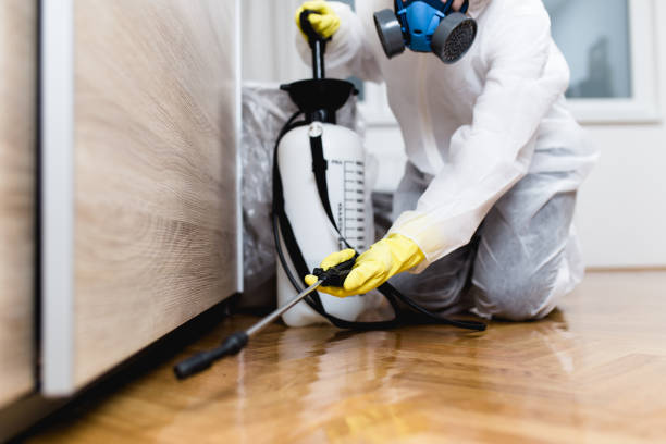 Best Emergency Pest Control  in Woodstown, NJ