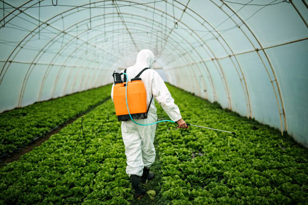 Best Residential Pest Control  in Woodstown, NJ
