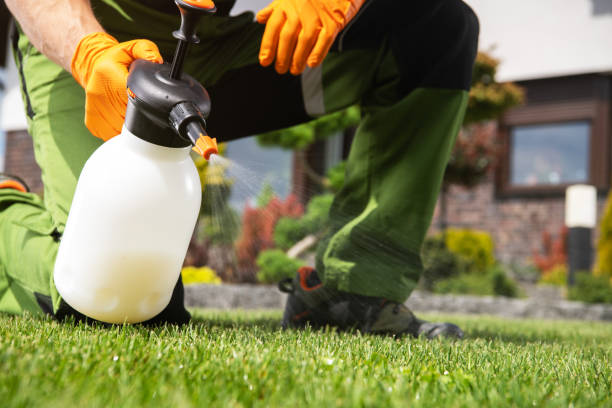 Best Termite Control Services  in Woodstown, NJ