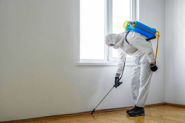 Best Cockroach Control Services  in Woodstown, NJ