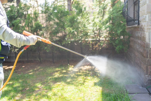 Best Wasp Removal Services  in Woodstown, NJ