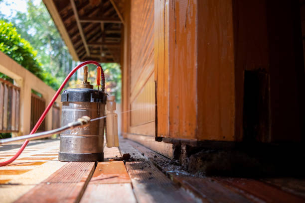 Best Mosquito Control Services  in Woodstown, NJ