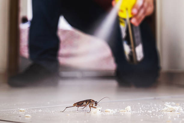 Best Residential Pest Control  in Woodstown, NJ