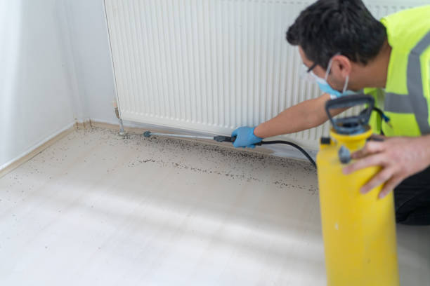Best Emergency Pest Control  in Woodstown, NJ