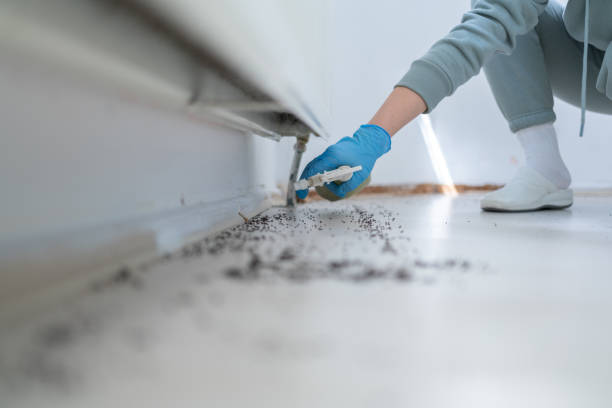 Best Exterminator Services  in Woodstown, NJ