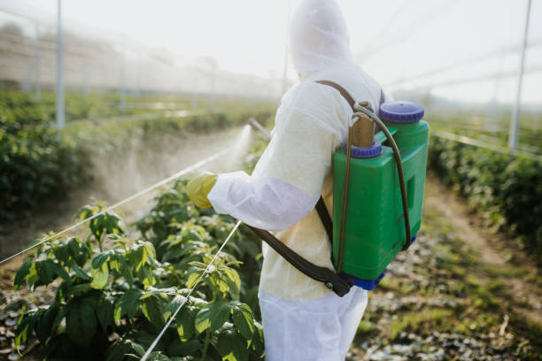 Professional Pest Control in Woodstown, NJ